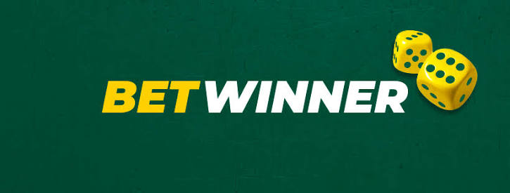 BetWinner Online Casino Unleash Your Gambling Potential